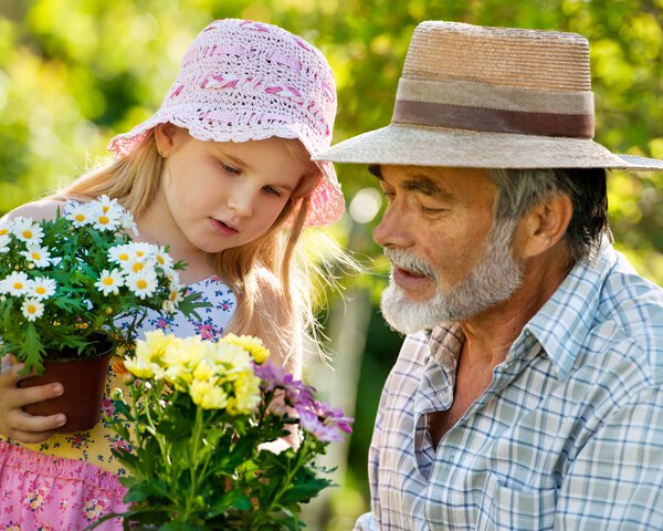 Kleines Mädchen und älterer Mann pflanzen zusammen Blumen | © Alexander Raths - Fotolia